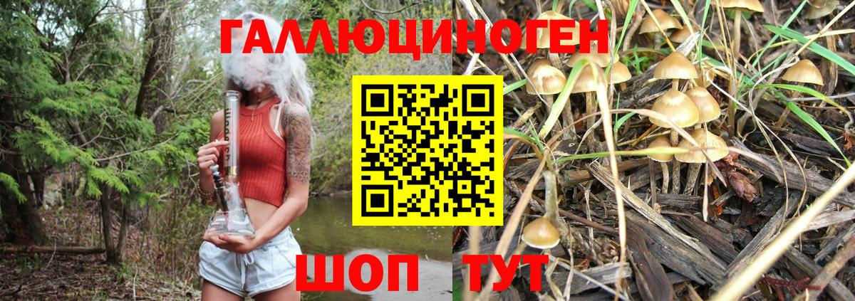Галлюциногенные грибы Psilocybine cubensis Алушта