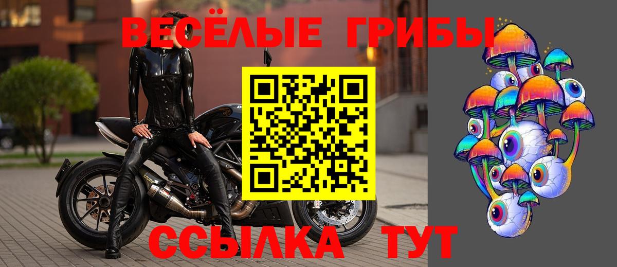 Галлюциногенные грибы Psilocybe  Вход с VPN  закладки  Алушта 