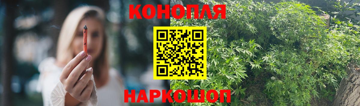 Конопля марихуана  Шишки марихуана White Widow  Конопля планчик  Вход с VPN  Конопля сатива  Алушта 